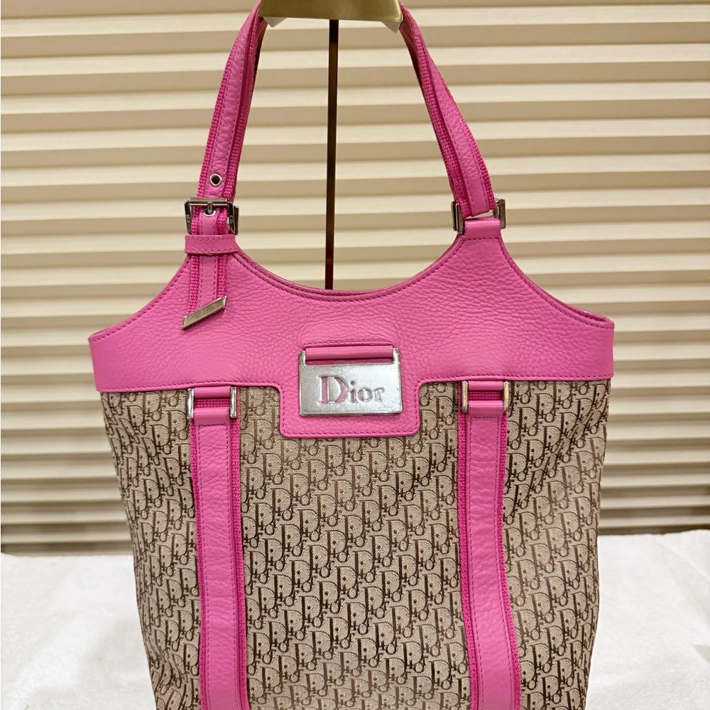 Dior Pink and Brown Trotter Shoulder Bag